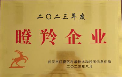 2023瞪羚企业
