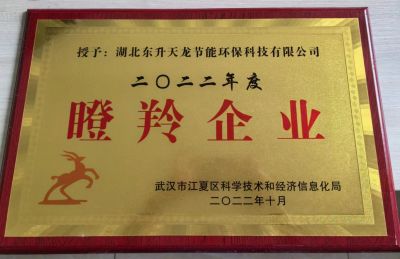 2022 瞪羚企业