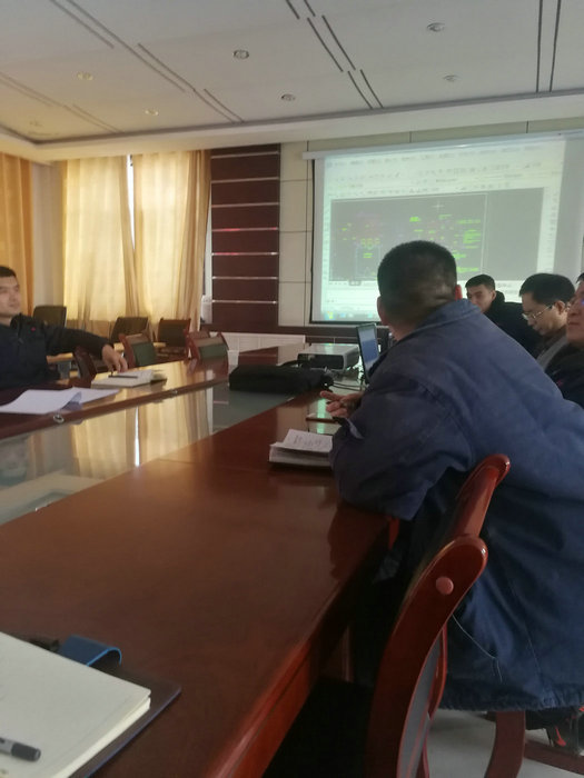 Pulverized coal furnace project discussion among Professor Chen from WHUT, TL team and Ordos user